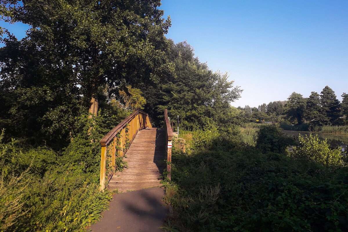 Eine Holzbrücke über den Finowkanal im schönen Naturpark Barnim, Barnimer Land, Brandenburg.